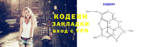 крисы Слюдянка